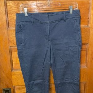 Loft dark blue chino